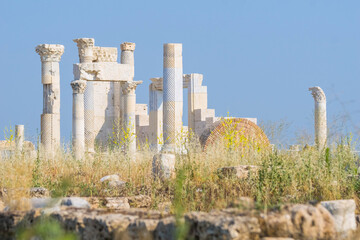 Ruins of Laodicea antique Greek city in Denizli, Turkey