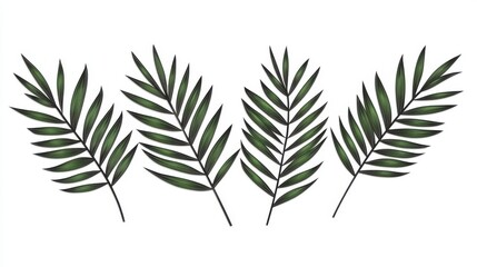 Elegant Palm Fronds in Soft Shadow Creating a Serene Nature Aesthetic