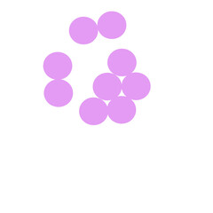 staphylococcus aureus bacteria