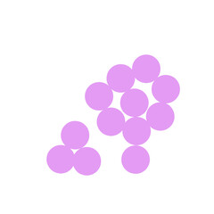 staphylococcus aureus bacteria