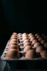Brown Eggs in Carton