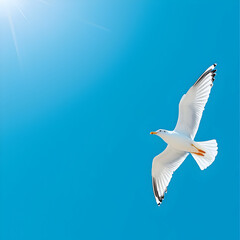 Fototapeta premium White Seagull in Flight Against a Vivid Blue Sky