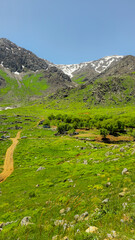 A scenic mountain trail surrounded by lush greenery, leading up to snow-capped peaks under a clear...