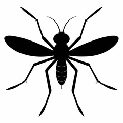 Minimalist Mosquito Silhouette Vector