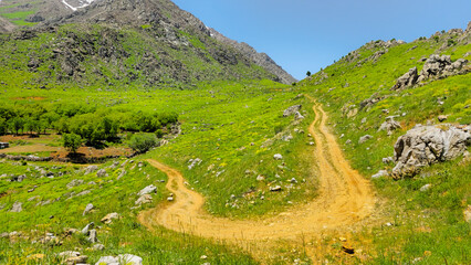 A scenic mountain trail surrounded by lush greenery, leading up to snow-capped peaks under a clear...