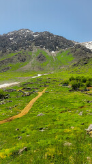 A scenic mountain trail surrounded by lush greenery, leading up to snow-capped peaks under a clear...
