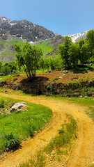 A scenic mountain trail surrounded by lush greenery, leading up to snow-capped peaks under a clear...