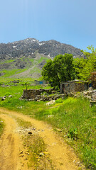 A scenic mountain trail surrounded by lush greenery, leading up to snow-capped peaks under a clear...