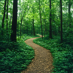 Fototapeta premium Winding Forest Path: A Tranquil Summer Scene