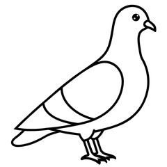 Minimalist Pigeon Line Art Vector