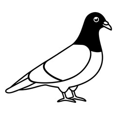 Minimalist Pigeon Line Art Vector