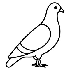 Minimalist Pigeon Line Art Vector
