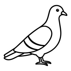 Minimalist Pigeon Line Art Vector