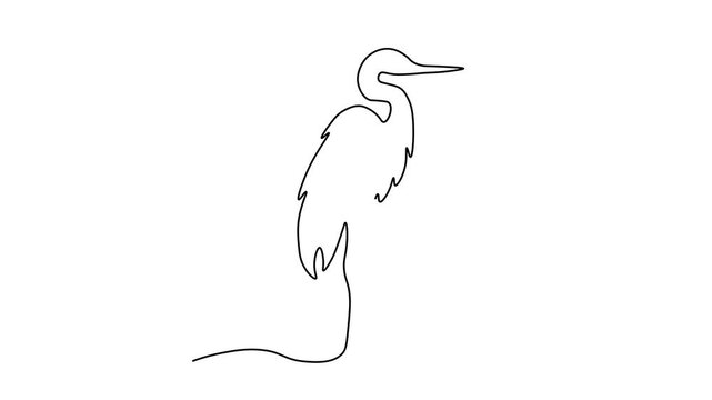 Abstract bird heron, Self drawing animation one continuous line draw, logo