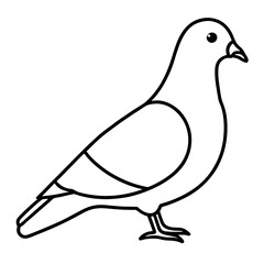 Minimalist Pigeon Line Art Vector