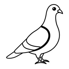 Minimalist Pigeon Line Art Vector
