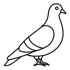 Minimalist Pigeon Line Art Vector