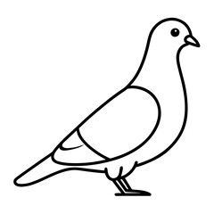 Minimalist Pigeon Line Art Vector