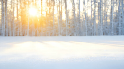 Obraz premium Winter Sunset in Snowy Forest