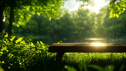 Naklejka premium Wooden Bench in a Sunny Green Park