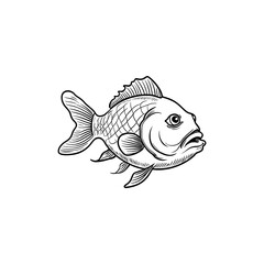 sketch of a fish with black outline and white background