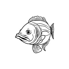 sketch of a fish with black outline and white background