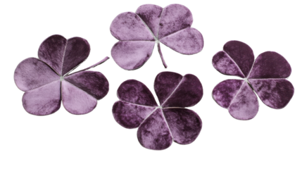 Purple shamrocks floating on transparent background