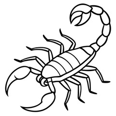 Minimalist Scorpion Line Art