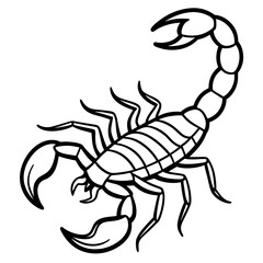 Minimalist Scorpion Line Art