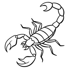 Minimalist Scorpion Line Art