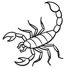 Minimalist Scorpion Line Art