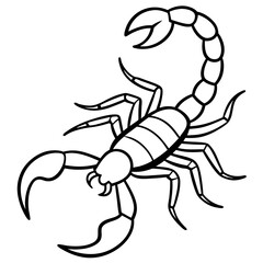 Minimalist Scorpion Line Art