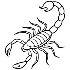 Minimalist Scorpion Line Art