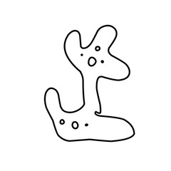 Obraz premium amoeba cells