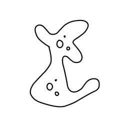 amoeba cells