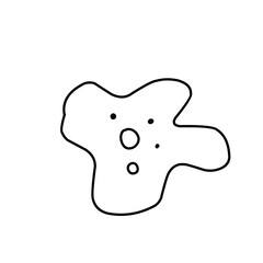 amoeba cells