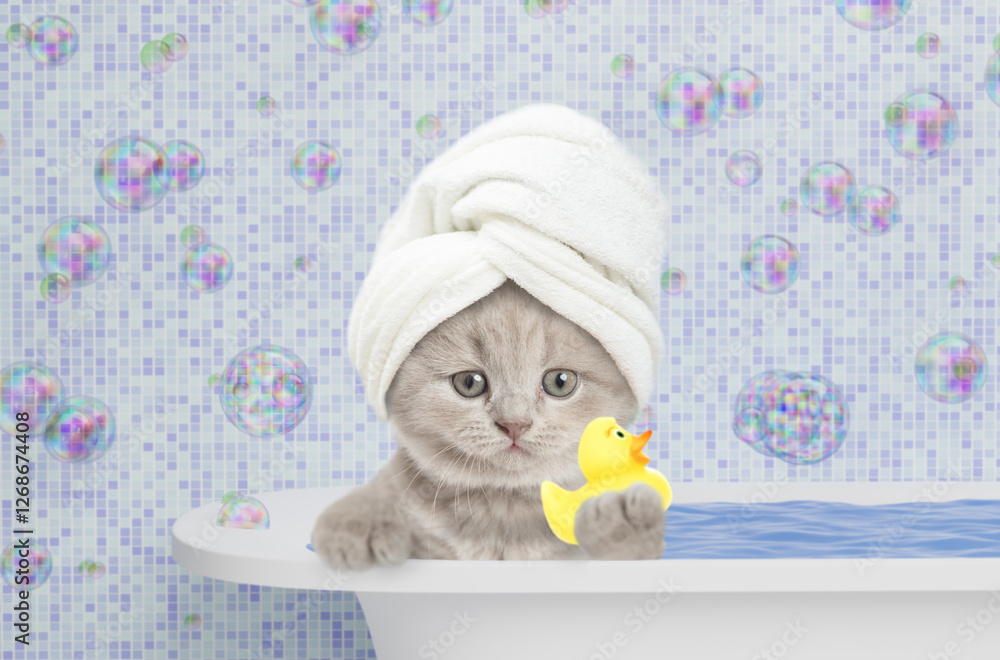 Poster cute kitten with towel on it head takes the bath with rubber duck at home. empty space for text