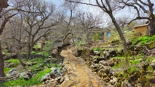 A scenic rural path surrounded by trees and stone houses, showcasing the beauty of nature and traditional architecture.  
📍Hawraman Takht, Kurdistan 