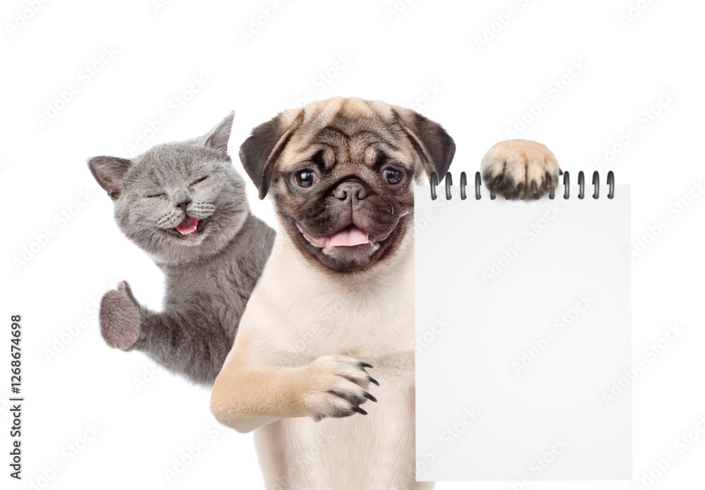 Aufkleber Happy cat shows thumbs up gesture. Pug puppy shows blank notepad. isolated on white background. Empty space for text