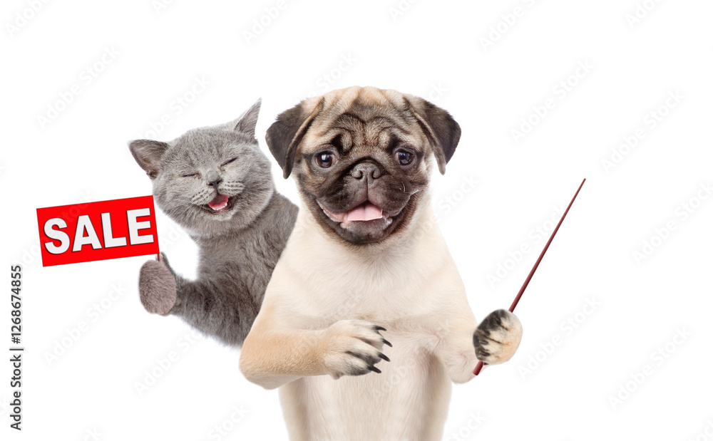 Poster happy cat and pug puppy look at camera. dog points away on empty space. kitten shows signboard with 