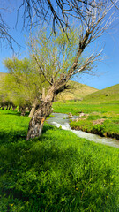 A serene stream flows through lush green meadows beneath a clear blue sky, surrounded by hills and...