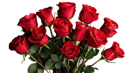 Fototapeta premium Bouquet of red roses blooming on transparent background