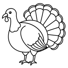 Minimalist Turkey Line Art Vector
