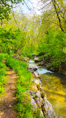 Embrace the beauty of spring, where every step leads to serenity and endless adventure.
📍Hawraman Takht, Kurdistan 
