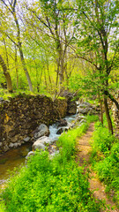 Embrace the beauty of spring, where every step leads to serenity and endless adventure.
📍Hawraman Takht, Kurdistan 
