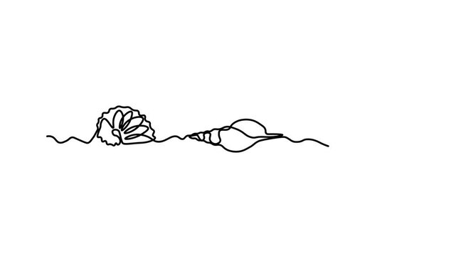 Three different shells in a row, Self drawing animation one continuous line draw, logo