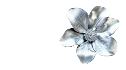 Silver metal flower blooming with transparent background