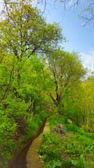 Embrace the beauty of spring, where every step leads to serenity and endless adventure.
📍Hawraman Takht, Kurdistan 
