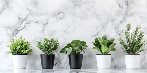 Modern Minimalist Interior with Green Plants and Marble Background
