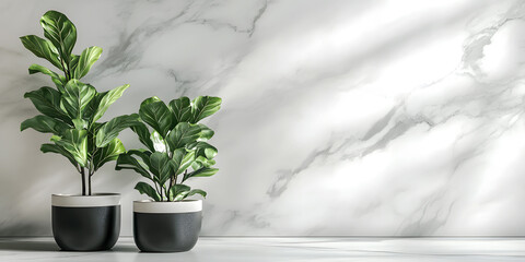 Modern Minimalist Interior with Green Plants and Marble Background